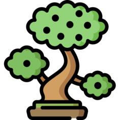 Walnut tree