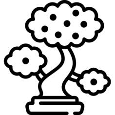 核桃树