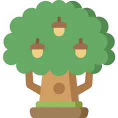 Oak