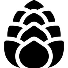 Cone