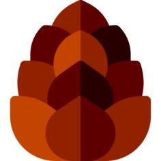 Cone