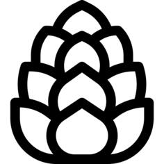 Cone