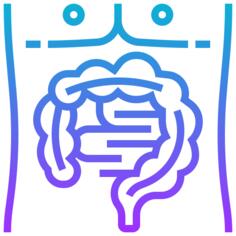 Intestine