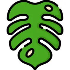 叶
