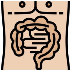Intestine