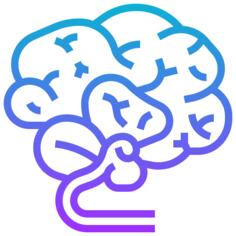 Brain