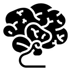 Brain