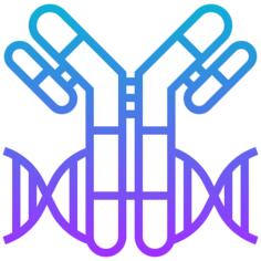 Antibodies