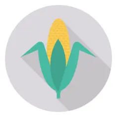 Corn