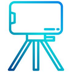 Live stream