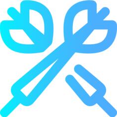 Darts