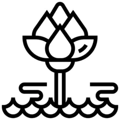 莲花