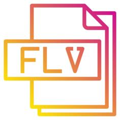 Flv file