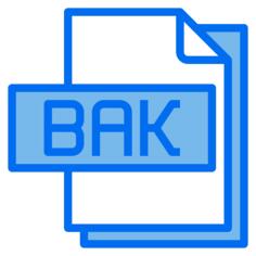 Bak file