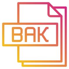 Bak file