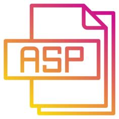Asp file