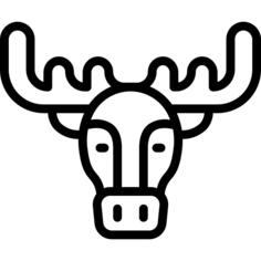 Moose