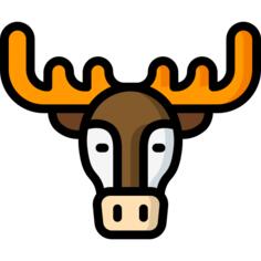 Moose