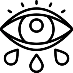 眼睛