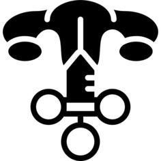 阴道