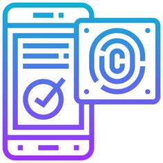 Fingerprint identification