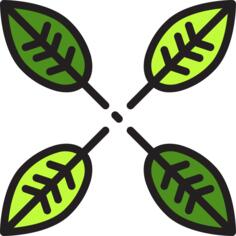 Leafs