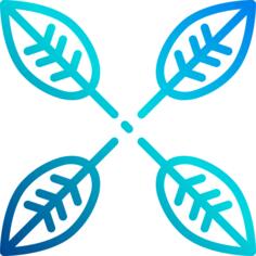 Leafs