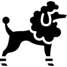 贵宾犬