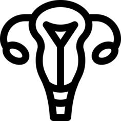 子宫