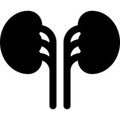 Kidneys