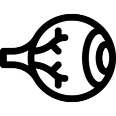眼球