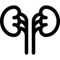 Kidneys