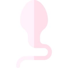 Spermatozoon