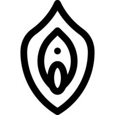 Vagina