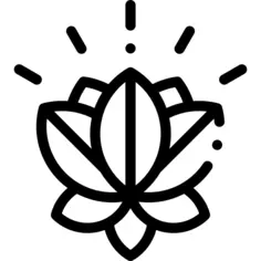 莲花