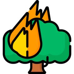 森林火灾
