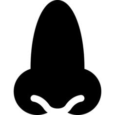 鼻子