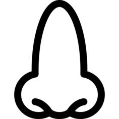Nose