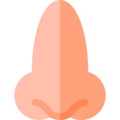 Nose