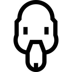 鸭