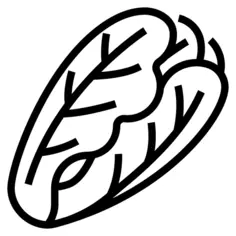 生菜