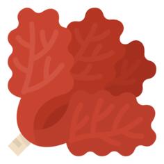 Lettuce