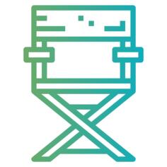 Director chair