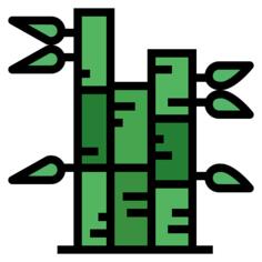 Bamboo