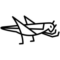 Grasshopper