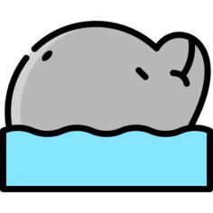 海豚