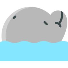 海豚