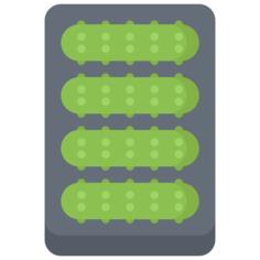 Cucumber