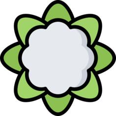 Cauliflower