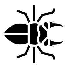 Beetle